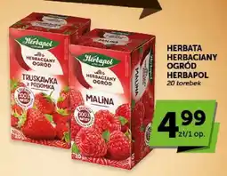 ABC Herbata owocowa Herbaciany Ogród Malina Herbapol oferta