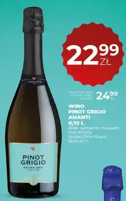 Duży Ben Wino Pinot Grigio Amanti oferta