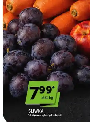 ABC Śliwka oferta