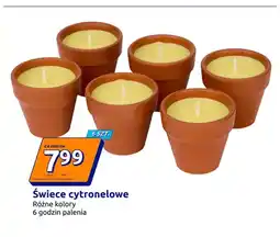 Action Świece cytronelowe 6-pak oferta