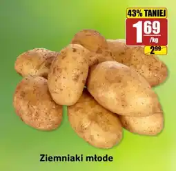 API MARKET Ziemniaki młode oferta