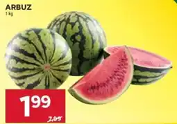 Stokrotka Arbuz oferta
