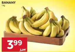 Stokrotka Banany oferta