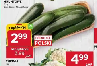Stokrotka Cukinia oferta