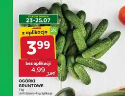Stokrotka Ogórki Gruntowe oferta