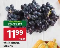 Stokrotka Winogrona Ciemne oferta