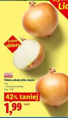 Lidl Polska cebula żółta luzem oferta