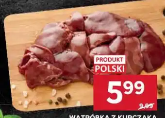Stokrotka WATRÓBKA Z KURCZAKA oferta