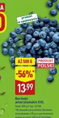 ALDI Borówki amerykańskie XXL oferta