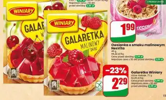 Dino Galaretka WINIARY oferta