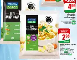 Dino Zupa Mroźny Ogród oferta