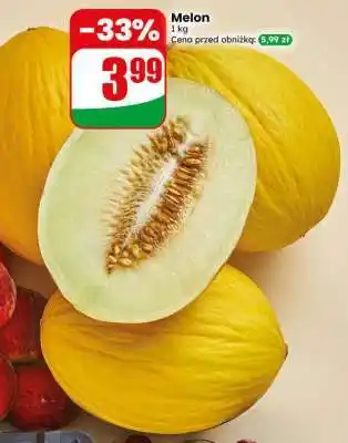 Dino Melon oferta