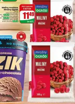 Dino Maliny mrożone Mroźny Ogród oferta