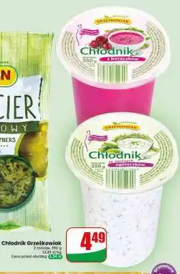 Dino Chłodnik Grześkowiak oferta
