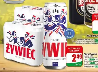Dino Piwo Żywiec oferta