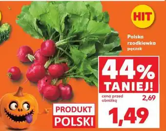 Kaufland Polska rzodkiewka pęczek oferta
