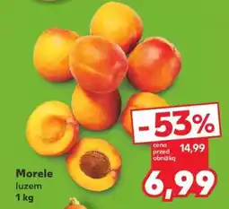 Kaufland Morele luzem 1 kg oferta