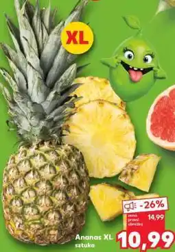 Kaufland Ananas XL sztuka oferta