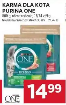 Stokrotka Karma dla kota Purina One oferta