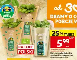 Auchan Kolendra bio oferta