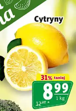 Prim Market Cytryny oferta