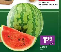 Stokrotka Arbuz oferta