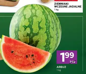 Arbuz