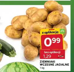 Stokrotka Ziemniaki wczesne jadalne oferta