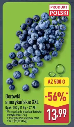 ALDI Borówka amerykańska oferta
