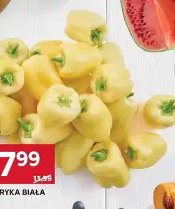 Stokrotka Papryka biała oferta