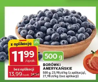 Stokrotka Borówki amerykańskie oferta