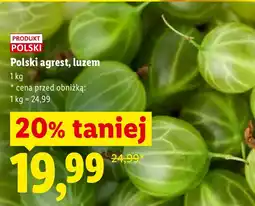 Lidl Agrest Polski oferta
