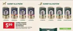 Stokrotka Karma mokra dla psa Nutrivida z jagnięciną oferta