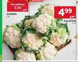 Stokrotka Kalafior oferta