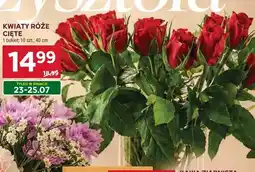 Stokrotka Kwiaty róże cięte oferta
