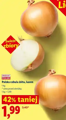 Lidl Cebula Polski oferta