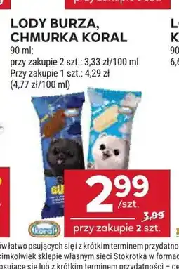 Stokrotka Lody Burza Koral oferta