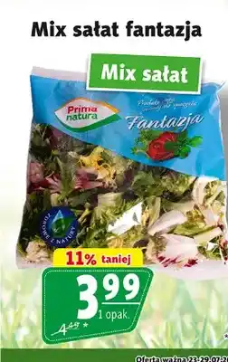 Prim Market Mix sałat Fantazja Prima natura oferta