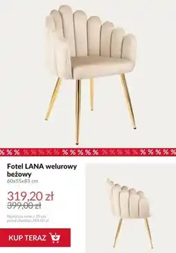 Homla Fotel LANA welurowy oferta