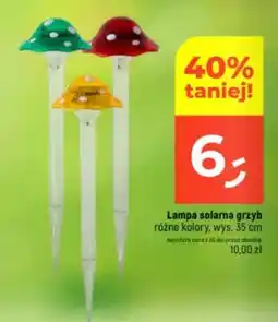 Dealz Lampa solarna grzyb wys.35 cm oferta
