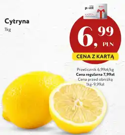 Market Point Cytryna oferta