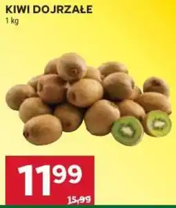 Stokrotka Market Kiwi Dojrzałe oferta