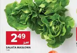 Stokrotka Market Sałata Masłowa oferta