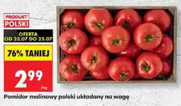 Biedronka Pomidor malinowy polski oferta