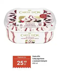 Biedronka Lody jogurtowe z owocami leśnymi Carte d'Or oferta