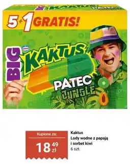 Biedronka Lody wodne Kaktus Patec Jungle z papają i sorbet kiwi 6-pak oferta