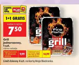 Biedronka Grill jednorazowy Picknick grill oferta