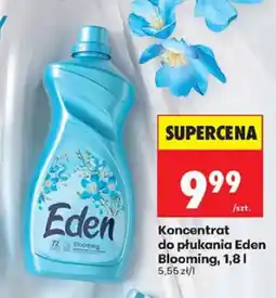 Biedronka Koncentrat do płukania Eden Blooming oferta