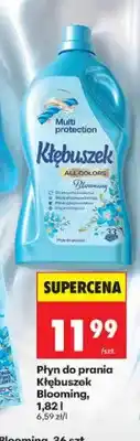 Biedronka Płyn do prania Kłębuszek Blooming oferta