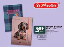 Stokrotka Teczka z gumką Herlitz C4 oferta